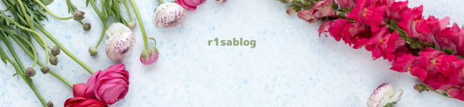 r1sablog